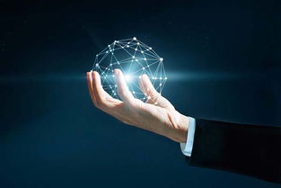 手機軟件產(chǎn)品網(wǎng)站建設(shè) 如何打造卓越用戶體驗與高效轉(zhuǎn)化